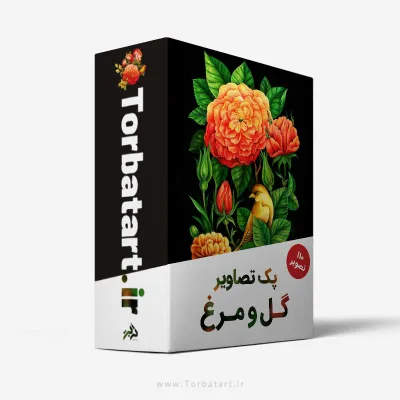 پک تصاویر با کیفیت گل و مرغ